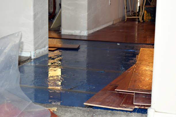 Professional Basement Flood Cleanup technician working in Sun Prairie, WI